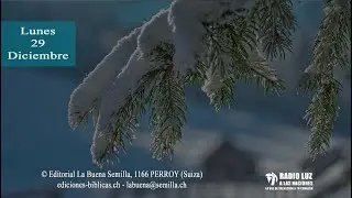 La Buena Semilla - 29 de diciembre (Un muro entre Dios y yo)