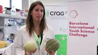 BIYSC - Molecular breeding & gene editing: Feeding the world in a changing climate (CRAG)