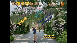 SINGAPORE ZOO Experience with RELAXING MUSIC | JUPAO FILMS