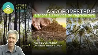Agroforesterie : L’arbre au service de l’agriculture | présenté par Alain Cogliastro