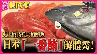 【重播】日本「一番鮪」解體秀！重達243公斤 5.1億日圓 天價鮪魚