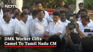 As MK Stalin Turns 70, Birthday Wishes With a Side Of Opposition Unity