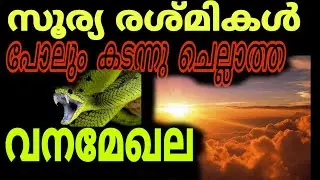 Amazon rainForest malayalam story / #amazonrainforest   /Glitting world /