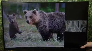 MSI MAG 321CUP &mdash; PBPの設定と使い方