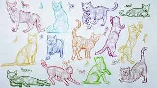 Kedi &Ccedil;izimi, Farklı A&ccedil;ılardan Kedi &Ccedil;izimleri, İmgesel, Basit &Ccedil;izim, Karakalem