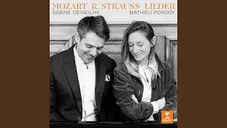 5 Lieder, Op. 48: No. 4, Winterweihe