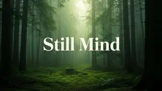 1 Hour Forest Dawn Ambience for Deep Relaxation, Inner Balance & Energy Flow