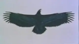 Gianclaudio Lopez, Campioni in volo, Geo 1991