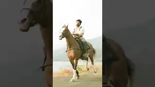RRR movie | Ramcharan horse riding | status🏇