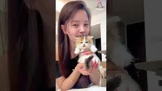 I love kissing my little kitten because she's a very calm cat. 😂😘 #cat #pets #kitten #catlovers