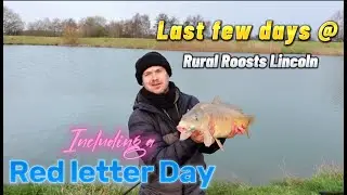 Last few days @ Rural Roosts (Lincoln) including a Red Letter Day 🤫🤫😀😀🌧💨💨☔️☔️