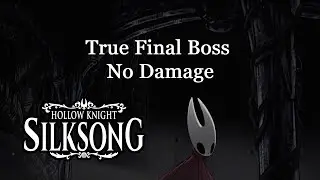 Hollow Knight: Silksong - True Final Boss No Damage + 100% Ending