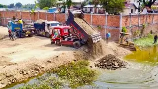 Start Opening New Project!!Bulldozer MITSUBISHI BD2A Pushing Soil into flooded​ Pond&​Trucks 5Ton.