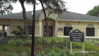 Cypress Oaks Apartments in Leesburg, FL - ForRent.com