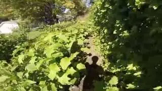 GoPro Hero 3+ Test - Indoor Time Lapse & Raw Outdoor Footage