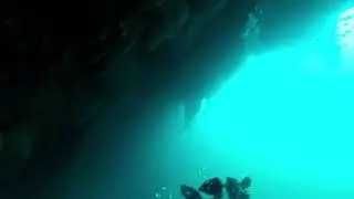 Blue Hole Sharks
