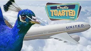 PEACOCK DENIED FLIGHT ON UNITED AIRLINES