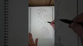 How Australian's Draw