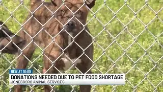 Jonesboro Animal Services seeks pet food donations amid shortage