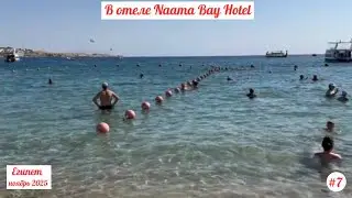 Отдых в Египте | В отеле Naama Bay Hotel, Шарм-Эль-Шейх | Ноябрь 2025 | Часть 7.