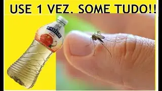 COMO Acabar com PERNILONGO de 1 VEZ  USANDO ISTO!