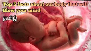 Mind blowing facts about our body in Tamil