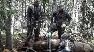 3 hours after the shot