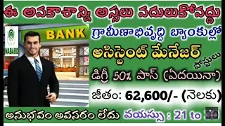 గ్రామీణ బ్యాంకుల్లో Asst.Manager ఉద్యోగాలు| No experience bank jobs 2020| 24x7 job updates