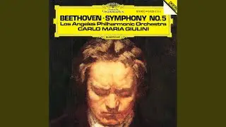 Beethoven: Symphony No. 5 in C Minor, Op. 67: II. Andante con moto