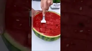 Stainless Steel Watermelon Cutter