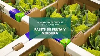 El mejor sistema de embalaje para palets de frutas y hortalizas