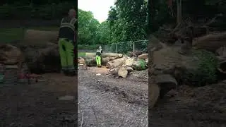 Site clearance Karl Fischer Garden Grounds & Tree Maintenance Ltd Liverpool