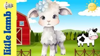 Little Lamb's English Adventures | Colors