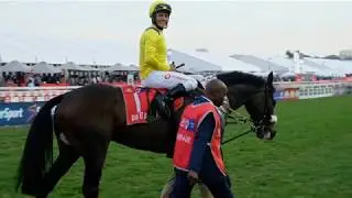 The Vodacom Durban July 2019