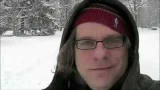 Blogger Interrupted in the snow