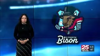 Fans online react to postponed games by the Bloomington Bison, due to strike