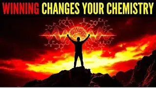 The Winner Effect: How Winning Changes Your Chemistry
