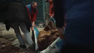 CHECKPOINT ZOO Trailer