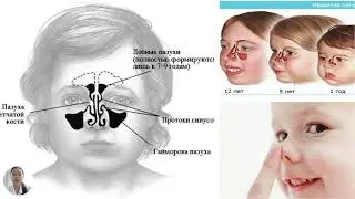 Балалардағы тыныс алу жүйесінің АФЕ-рі / Нурғожаева Д.Р.