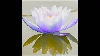 The Pause Between Breaths: A Micro Meditation for Inner Calm