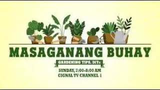 MASAGANANG BUHAY | SEPTEMBER 1, 2024