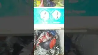 Mesin cuci 2 tabung LG WP600-N Ada pertanyaan
