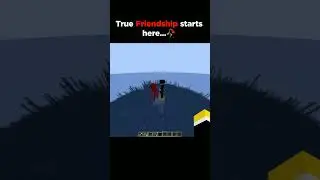 true friendship 💞🫂 #minecraft #enderman #mcpe #bugrock #java