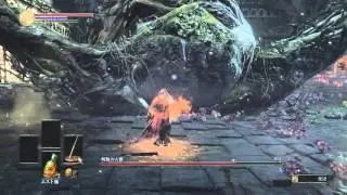 Dark Souls 3 - Cursed Rotted Greatwood Boss Fight Walkthrough [1080P HD]