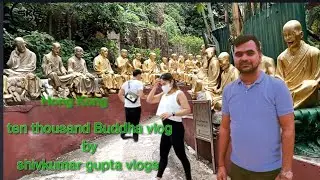 Ten Thousand Buddhas Monastery || 10000 Buddha view 😯😲 || #ten_thousand_Buddha_vlog_video_Hong_Kong