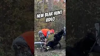 Fall Bear Hunt! #bearhunting #hunting #nature #adventure