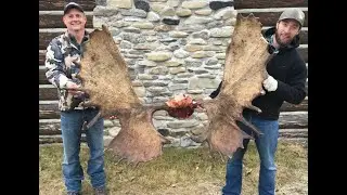 Аляска Юкон Охота на лося Гигантский бык Падение