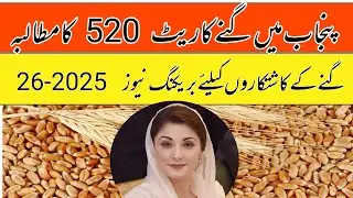 Sugacane support price in Punjab pakistan 2025/Shugarmil meetings information today/local farmers 