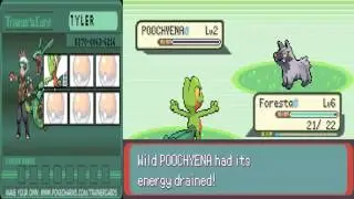 Let's Play   Pokemon Emerald  Episode 1   Hoenn Alone‬   YouTube