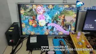 🔥 Factory Direct Lucky Birds Fishing Game Kits & Fishing Table Machines | HomingGame Original Supply